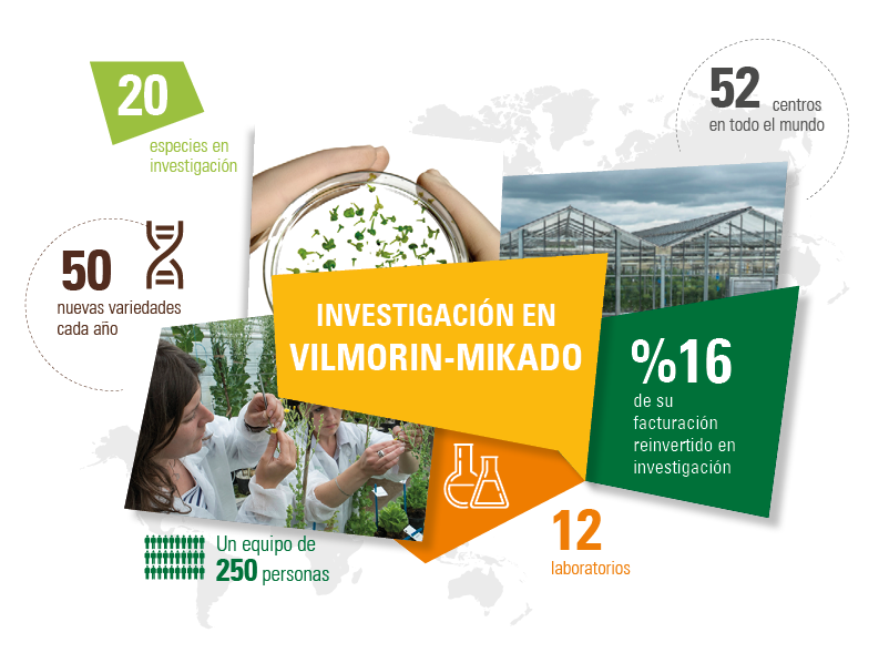 Investigacion_2020