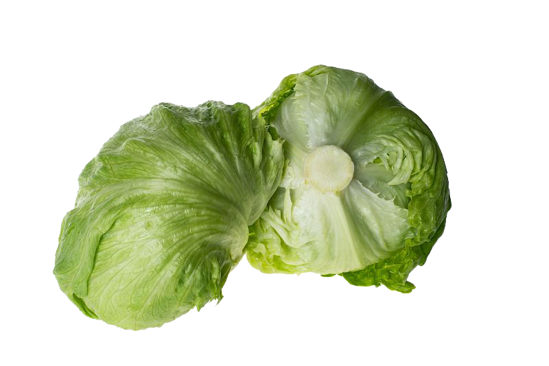 lechuga iceberg Azohía