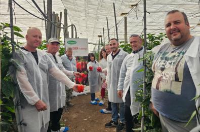 Ruta por los californias temprano