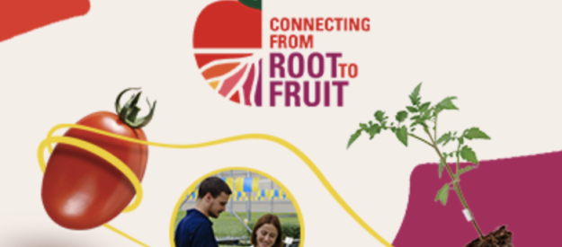 Conectando de la raiz al fruto