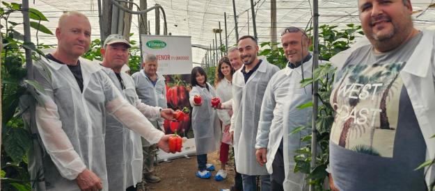 Ruta por los californias temprano