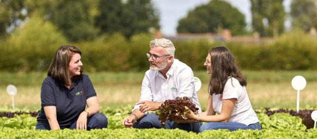 Soluciones innovadoras y sostenibles