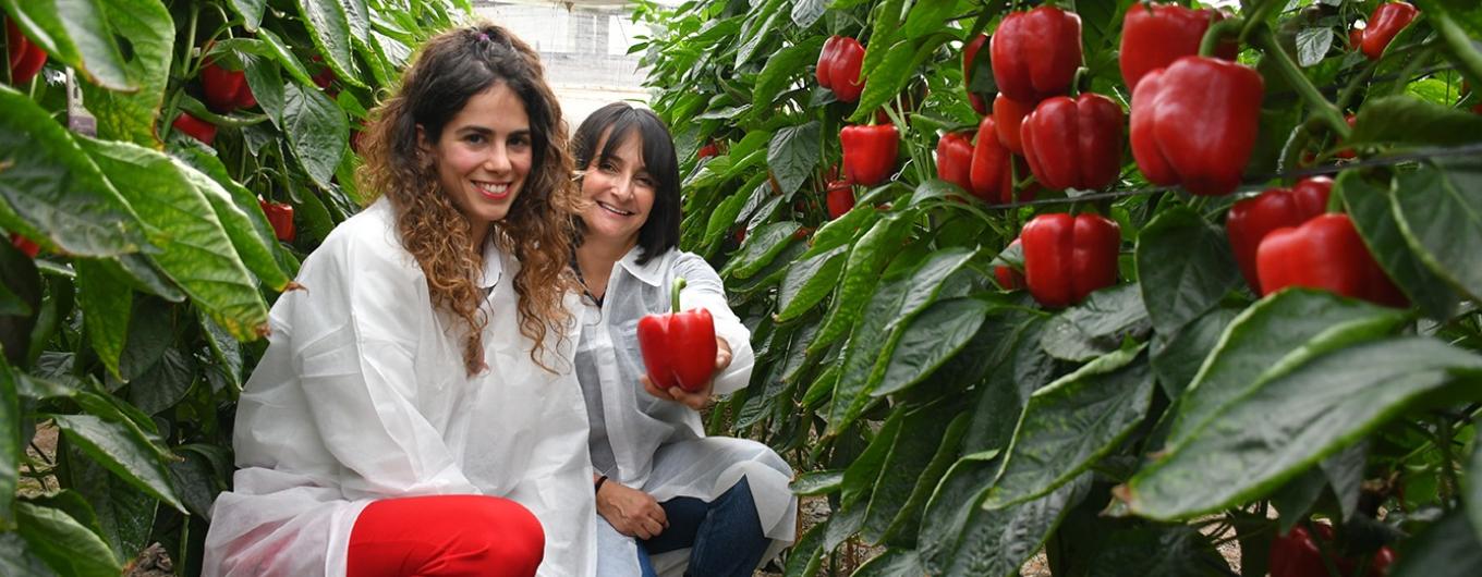 Equipo Vilmorin-Mikado