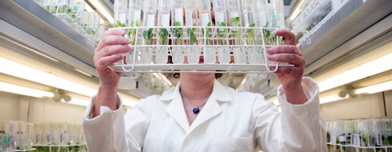 Soluciones de biocontrol 