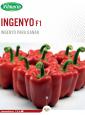 FLYER INGENYO F1