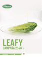 Catálogo Leafy 2025