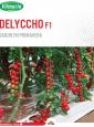 Flyer Delyccho