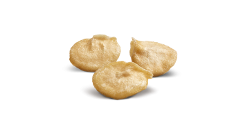 Semilla Pimiento