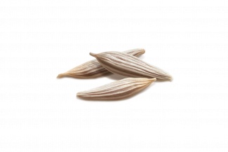 SEMILLA