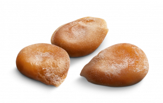 SEMILLA