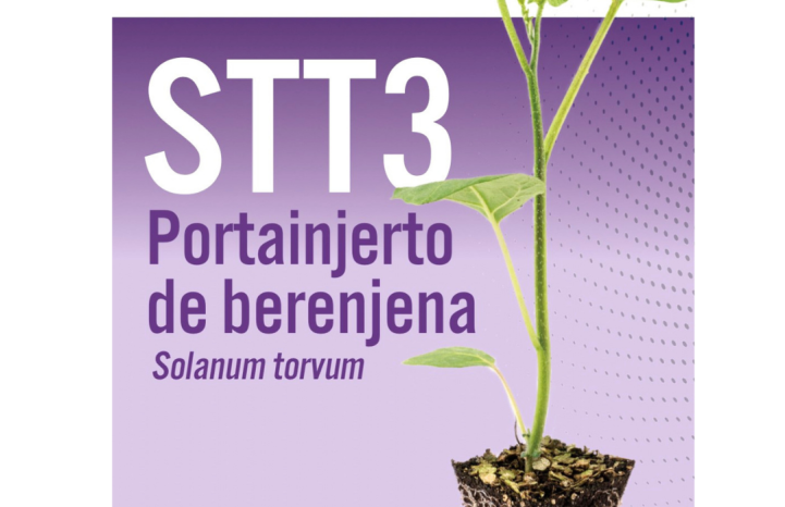 Portainjerto Stt3